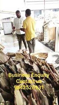 பாக்கு மட்டை தட்டு தயாரிக்கும் இயந்திரம் | இலவச தொழிற்பயிற்சி