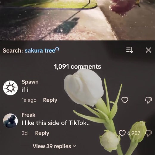 Short @Spawn Husband. #spawn #song #tvgirl #fyp