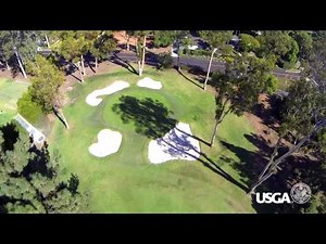 Identifying Problem Greens