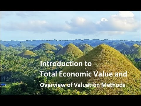 Introduction to Total Economic Value and Valuation Methods