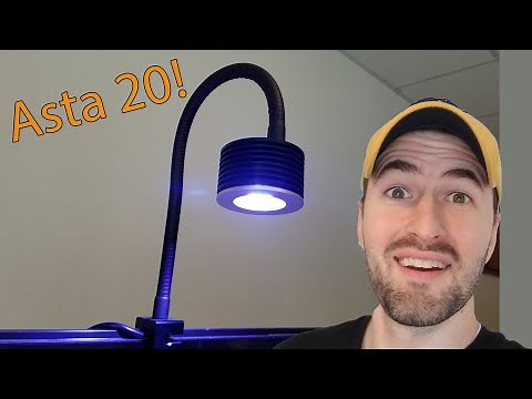 Lominie Asta 20 - Functionality and First Impressions!