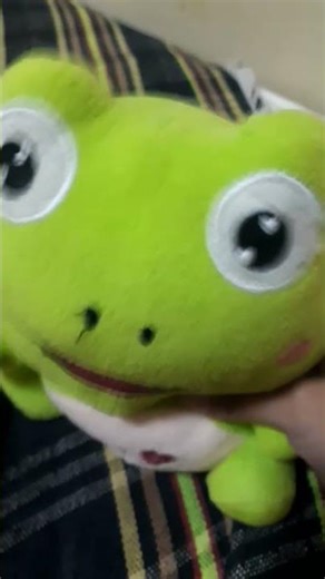 19 de fevereiro de 2026