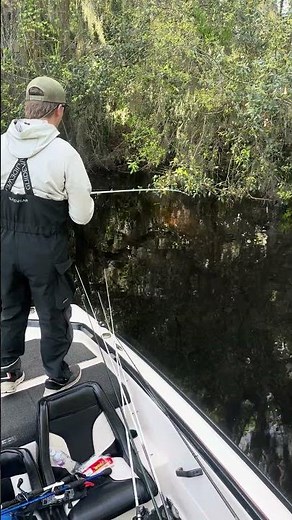 #fishing #bassfishing 🐟🐟