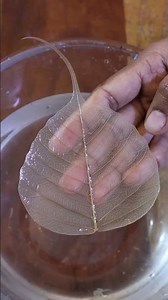 Skeleton Leaf Experiment 🍃😱 | Turn a Leaf into a Natural Skeleton!