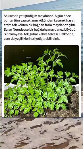 #dontskipv#waitforit #watchtillend #soundonc#mindblowing #unexpected #loopvideo #replay #shorts