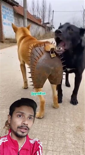 তার মানে কি তারে হেলমেট পরিয়ে দিল #bollywood #aakhirkyutootichhorebarghatiteam #love #comedy