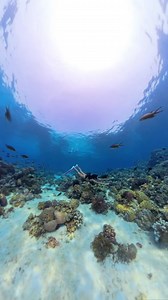 3K views · 388 reactions | Here’s another episode of small actions,...