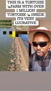 THIS IS A TORTOISE 🐢FARM WITH OVER 1 MILLION TORTOISE 🐢 INSIDE ITS VERY LUCRATIVE | Street NAIJA