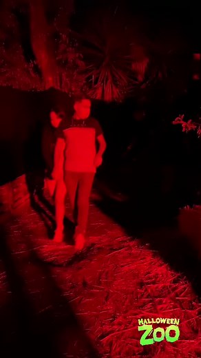 Caminando por Halloween zoo