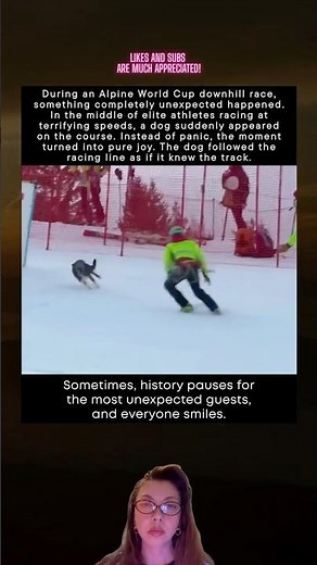 The Dog That Stopped a World Cup Race
