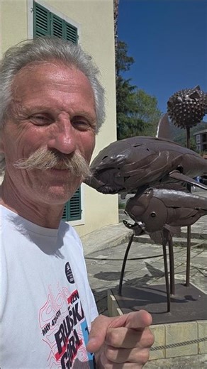 Tivat Ajkule🦈 #tivat #crnagora