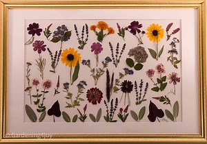 How to Create Pressed Flower Art – Summer Garden