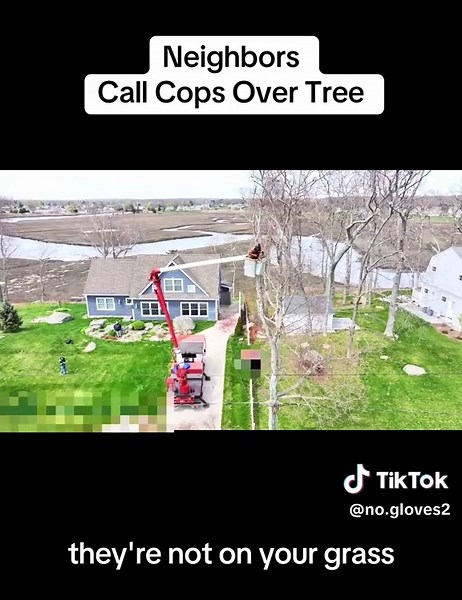 Neighbors Call Cops Over Tree Dispute