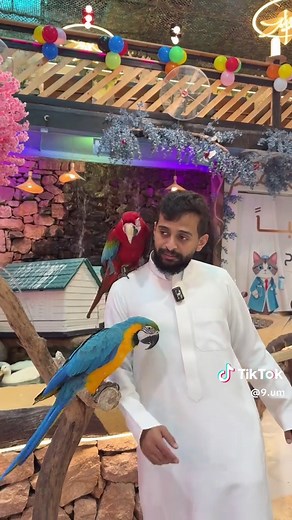 واحة العملاق: أجمل الأماكن في مكة المكرمة