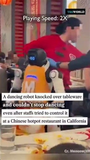 Rogue robot knocks over table at California eatery, staff rush to control it 🤖