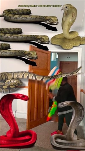 Animal funny video 2026 Anaconda snake python bhoot wala ondel ondel saamp bhoot wala #funny #shorts