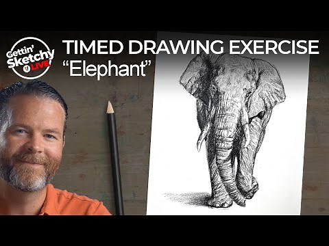 Elephant Pencil Drawing - Timed Drawing Exercise