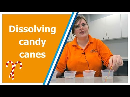 Dissolving Candy Canes - The Scientific Method