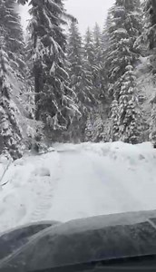 Fântânelul din Lunca Bradului poartă iarna ca pe o binecuvântare. Zăpada coboară lin peste dealuri și case, iar liniștea albă face ca fiecare sunet să fie mai curat, mai viu. Pârâul Fântânel curge domol, limpede ca o lacrimă de lumină, șoptind povești vechi printre malurile îmbrăcate în omăt. Apa lui nu îngheață în suflet, ci respiră, caldă și vie, ca o inimă care bate sub mantia iernii. Oamenii locului știu să se bucure de fiecare anotimp, dar iarna îi adună mai aproape unii de alții și de Dumn
