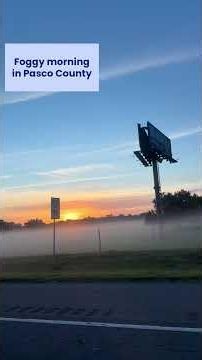 Low-lying morning fog in Pasco County