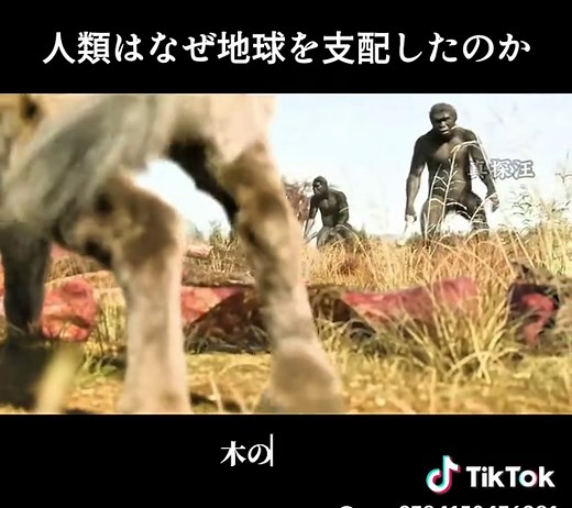 人類はなぜ地球を支配したのか #人類の起源 #歴史解説 #科学解説#TikTok #FYP