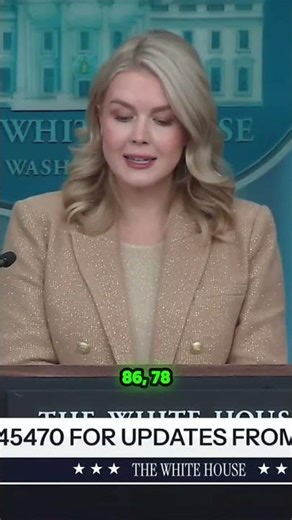 The $1 Billion Heist: 91% of Charged Suspects in Minnesota Fraud Scandal Identified!