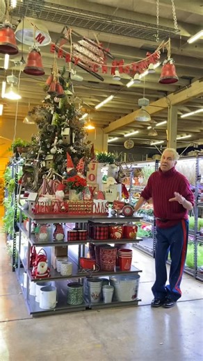 Display continued with @richardaflowers 🌲☃️ | Koehler & Dramm Wholesale Florist