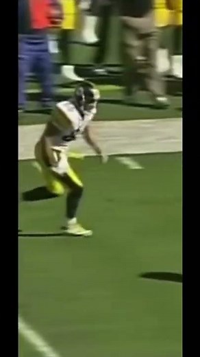 Hines Ward’s DEVASTATING BLOCK on Bengals Linebacker Keith Rivers