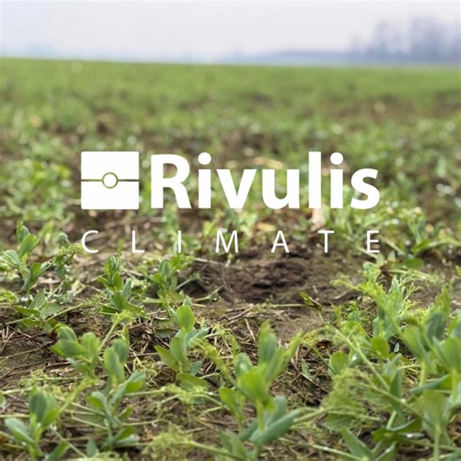 Rivulis Irrigation ב-TikTok