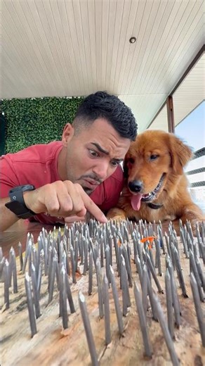 Tic-tac-toe with YouTubers #shorts