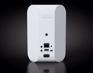 Bluesound Pulse Flex Portable Wireless Multi-Room Smart Speaker with Bluetooth - White