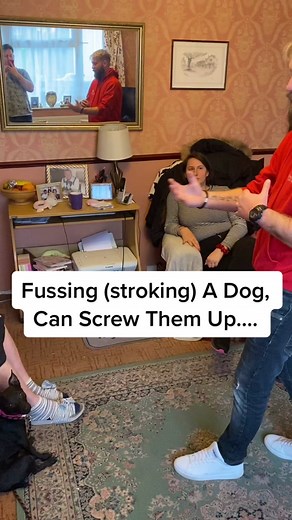 SouthendDogTraining on TikTok