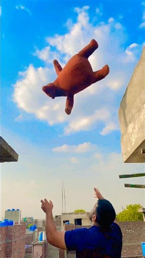 Apne king 🤴 ko dakh ha ho ga par teddy bears 🧸 ko b dakhu #foryou #funny }#comedyforever #cute