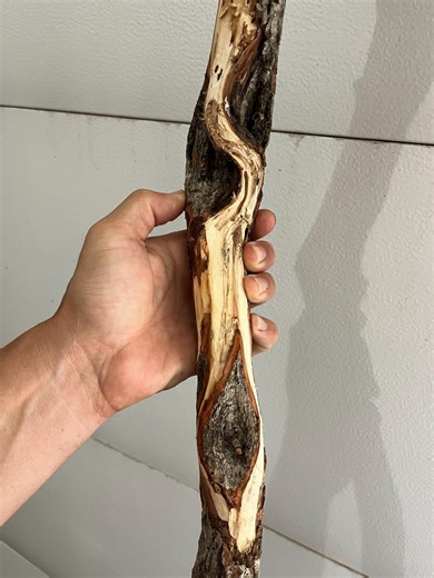 58" Diamond Willow (real<>wizard Staff) Walking Stick, Cane, Uncarved, Woodworking, Dead, Wood, Cane, Gandalf, Rustic, Raised - Etsy Canada