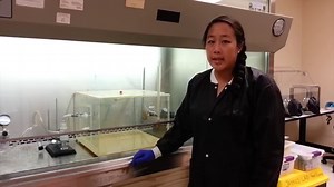 Researchers Created A Machine That Pukes... For Science, Of Course