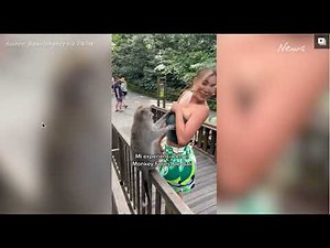 Pervert Monkey pulls Peruvian Model's top in Bali
