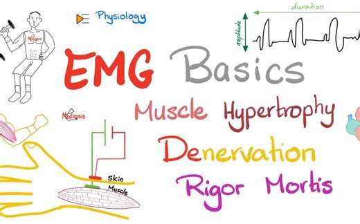 Electromyography (EMG) Basics, Muscle Hypertrophy, Denervation, Rigor Mortis