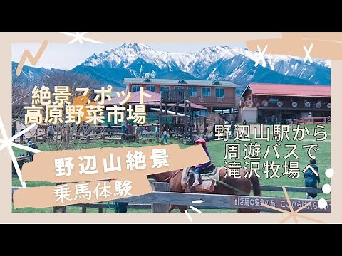野辺山絶景スポット、滝沢牧場、高原野菜市場巡り。野辺山周遊バスで無料で乗車して、行ける！大自然の乗馬体験！#牧場#八ヶ岳#乗馬
