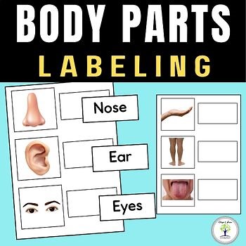 Parts Of The Body Labelling | Body Parts Matching Worksheet ESL Preschool