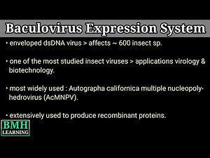 Baculovirus Expression Vector | Insect Virus | Baculovirus Expression system | BCV Insect Cell Lines