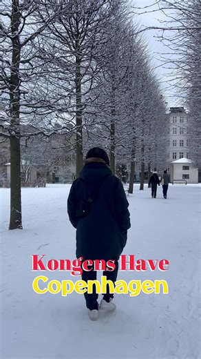 Kongens Have in Winter: A Serene Icy Wonderland