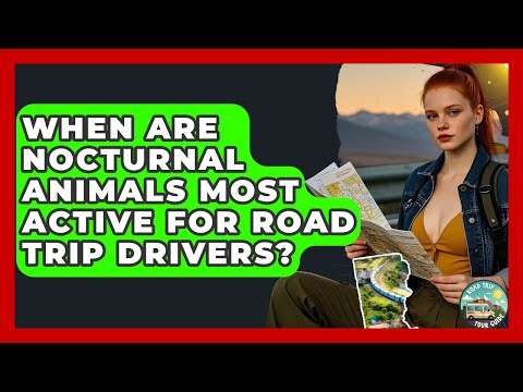 When Are Nocturnal Animals Most Active For Road Trip Drivers? - Road Trip Tour Guide