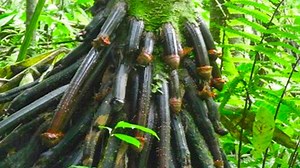 If You See This, Run Fast And Call For Help! | Top 10s