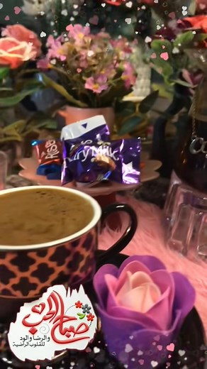 Yaser Hamideh on Reels