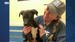 Pet of the Day: Eeyore