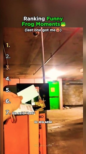 Top 7 Funniest Frog Moments That Will Make Your Day