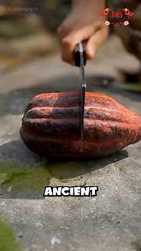 How Chocolate is really Made from Colorful Fruit!