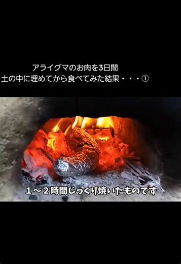 アライグマの肉とは?ジビエとしての特徴と味わい
