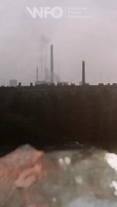 19K views · 8.3K reactions | Cały film na naszym kanale YouTube  #wfo #archiwumwfo #documentary #archive #prl #dokument #retro #poland #agriculture #rtęć #metal #mercury | Wytwórnia Filmów Oświatowych | Facebook