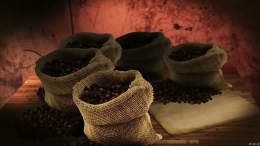 History of Pepper in the Spice Trade | Britannica